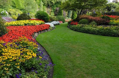 landscapers